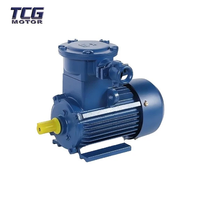 Dust explosion proof motor
