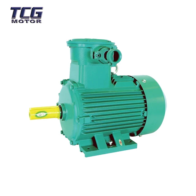 Explosion Proof Marine Motor