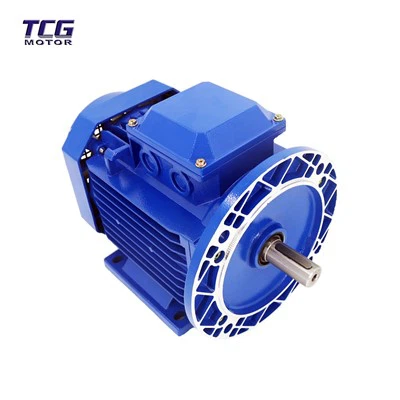 Голям фланец променлив мотор